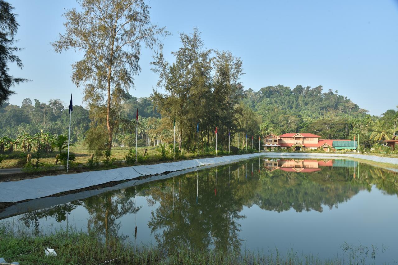 Lush Green Retreat Wandoor Bagian luar foto