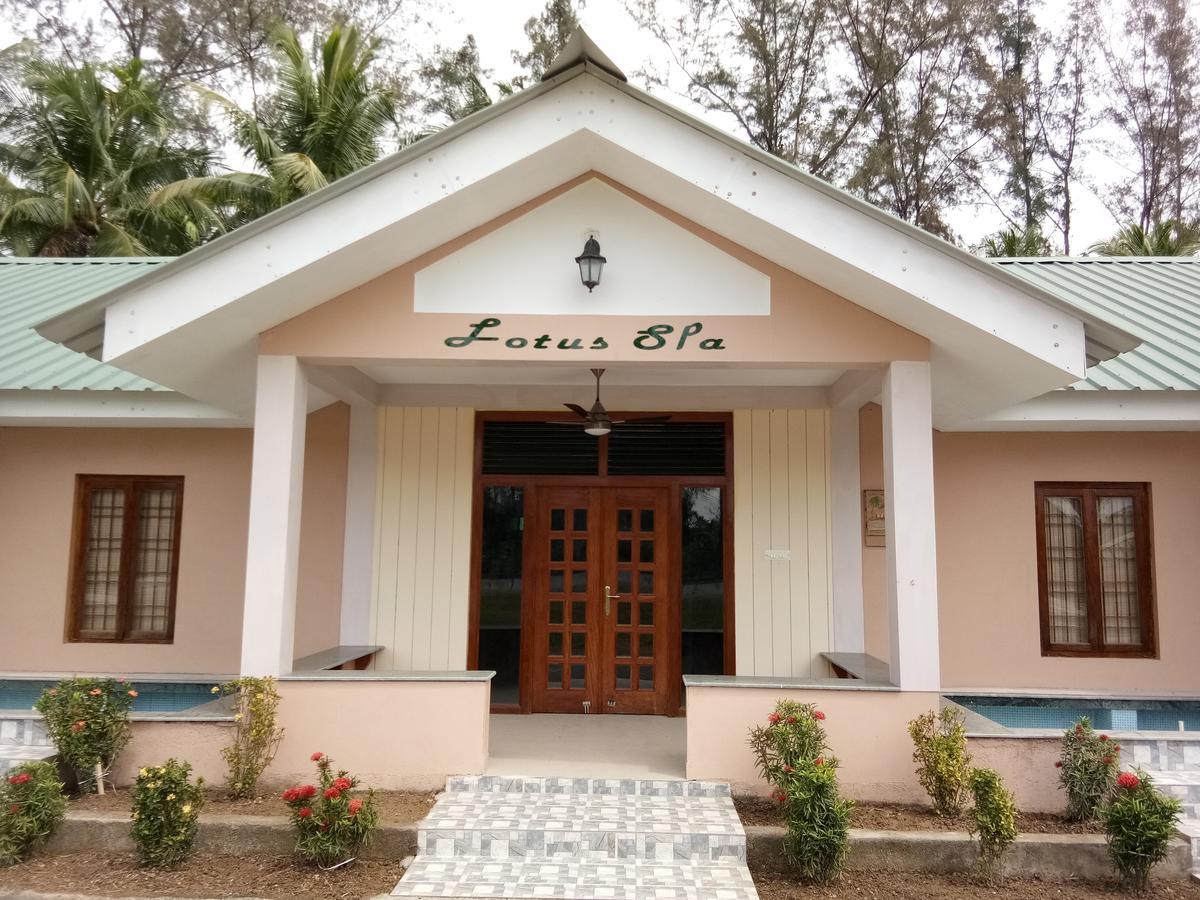 Lush Green Retreat Wandoor Bagian luar foto